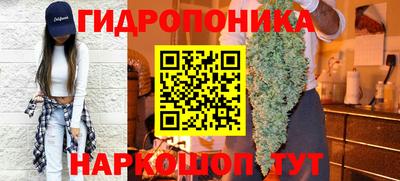 крисы Коммунар
