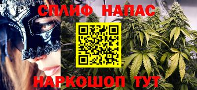 крисы Коммунар