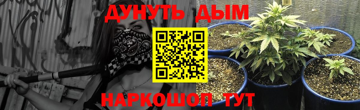 Конопля OG Kush  Шишки марихуана ГИДРОПОН  Красноармейск  Вход с VPN  Шишки марихуана Ganja 